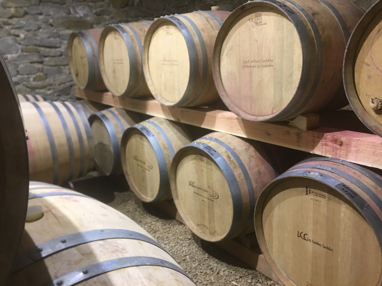 Un chai à barriques plein de promesses