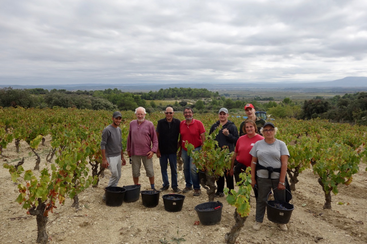 Fin des vendanges 2019: que de grenache!